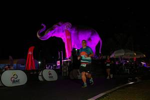 BIB: 
                            <button type="button" onclick="openModal(26543776)" class="btn btn-primary btn-sm float-right btn-popup" data-toggle="modal" data-target=".modal-high-quality">
                        <i class="fas fa-shopping-cart"></i> Add to Cart
                    </button>
                                            <button type="button" onclick="isThisMe(26543776, true)" class="btn btn-success btn-sm float-right btn-popup btn-isme hidden" data-toggle="tooltip" data-placement="bottom" title="นี่คือรูปของคุณใช่ไหม คลิกที่นี่เพื่อเอาเข้าอัลบั้ม">
                        <i class="fas fa-plus"></i> Add to album
                    </button>
                    <button type="button" onclick="isThisMe(26543776, false)" class="btn btn-warning btn-sm float-right btn-popup btn-isnotme hidden">
                        <i class="fas fa-ban"></i> Remove from album
                    </button>